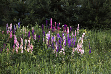 Similar image 22476584