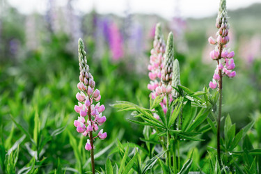 Similar image 22476585