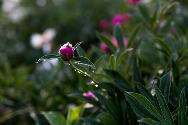 Similar image 22476587