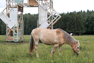 Similar image 22476588