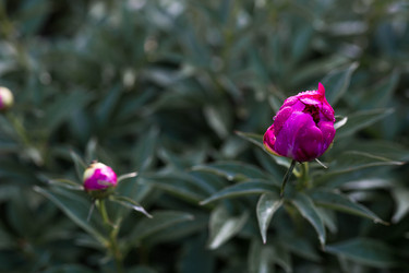 Similar image 22476589