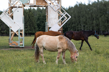 Similar image 22476590