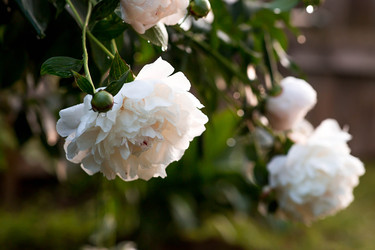 Similar image 22476595