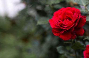 Similar image 22476599