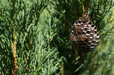 Similar image 22476600