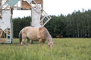 Similar image 22476602