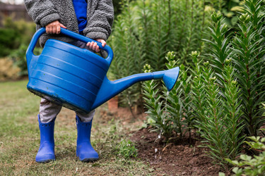 Similar image 22476604