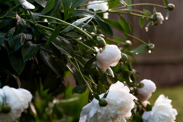 Similar image 22476605