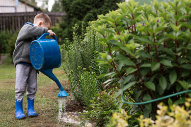 Similar image 22476611