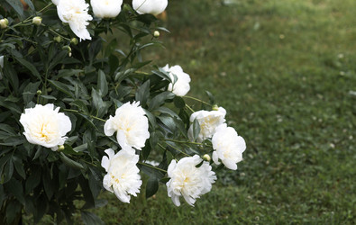 Similar image 22476614