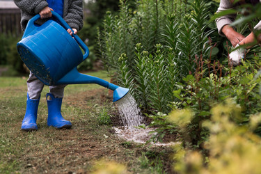 Similar image 22476617