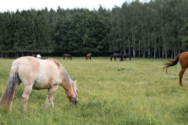 Similar image 22476618