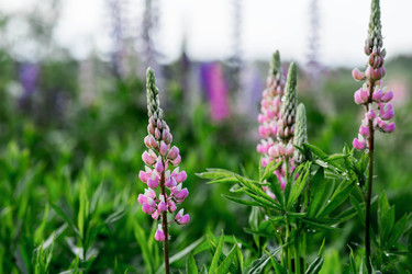 Similar image 22476619