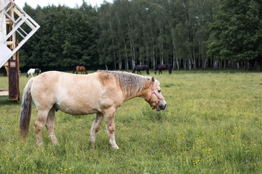 Similar image 22476620