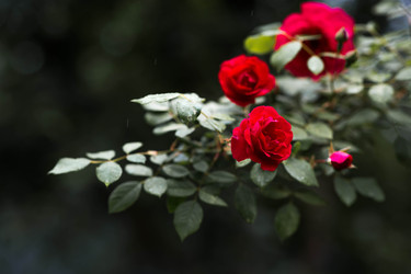 Similar image 22476634