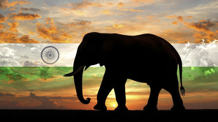 Similar image 22476797