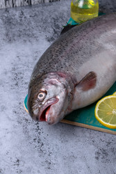 Similar image 22476991