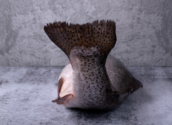 Similar image 22476992