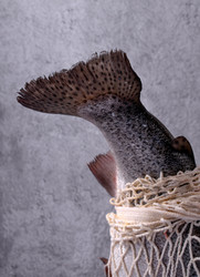 Similar image 22476993