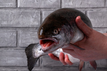 Similar image 22477005