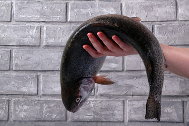 Similar image 22477014