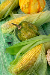 Similar image 22477057