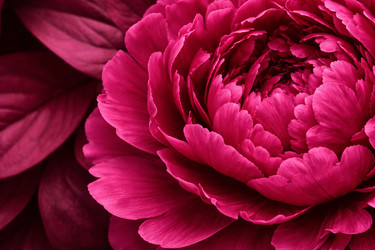 Similar image 22476335