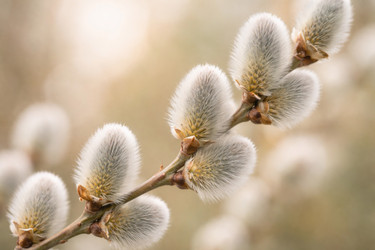 Similar image 22476336