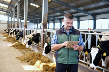 Similar image 22451097