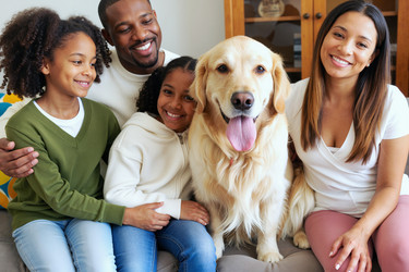 Similar image 22451035