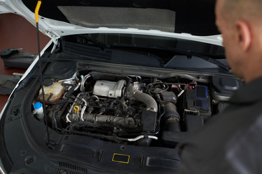 Similar image 22449416