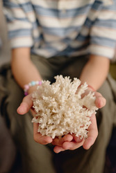 Similar image 22448729