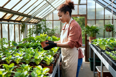 Similar image 22450927