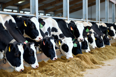 Similar image 22451071