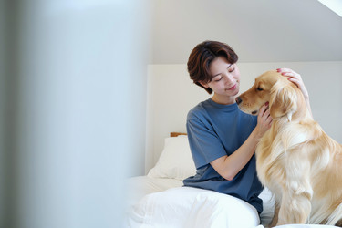 Similar image 22451034