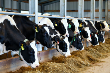 Similar image 22451072