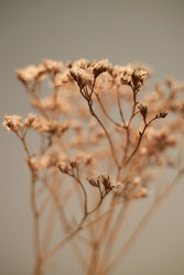 Similar image 22450557