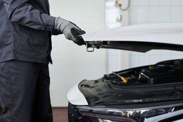 Similar image 22449401