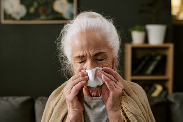 Similar image 22449833