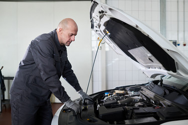 Similar image 22449395