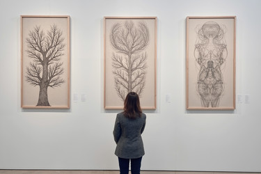 Similar image 22451197