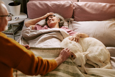 Similar image 22531459