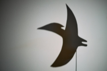 Similar image 22532971