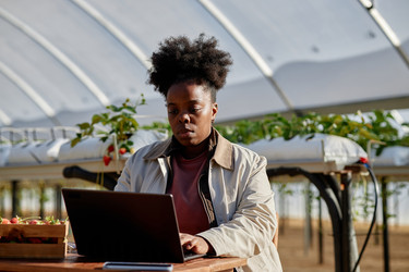 Similar image 22527962