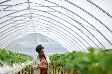 Similar image 22527850