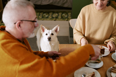 Similar image 22531600