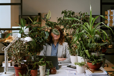 Similar image 22531318