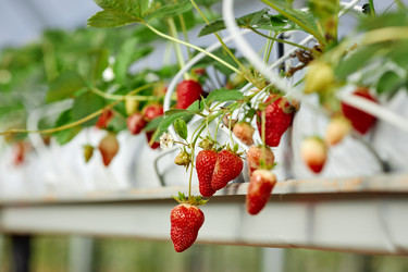 Similar image 22527814