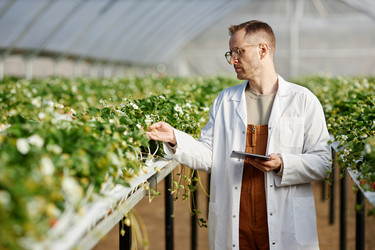 Similar image 22527797