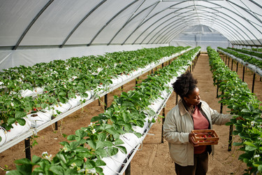 Similar image 22527871